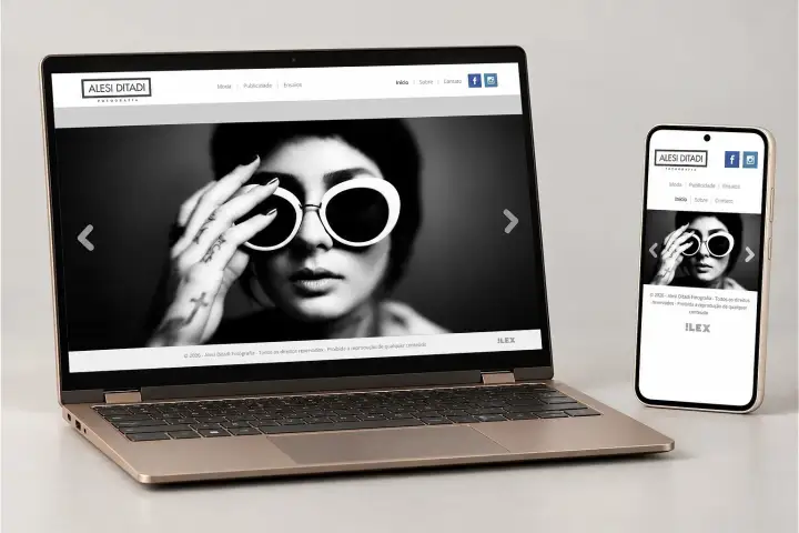 Prévia do projeto Alesi Ditadi, Website