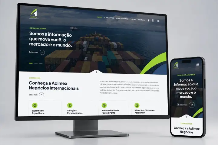 Prévia do projeto Adimex, Website