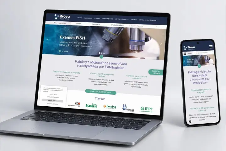 Prévia do projeto Inova, Portal